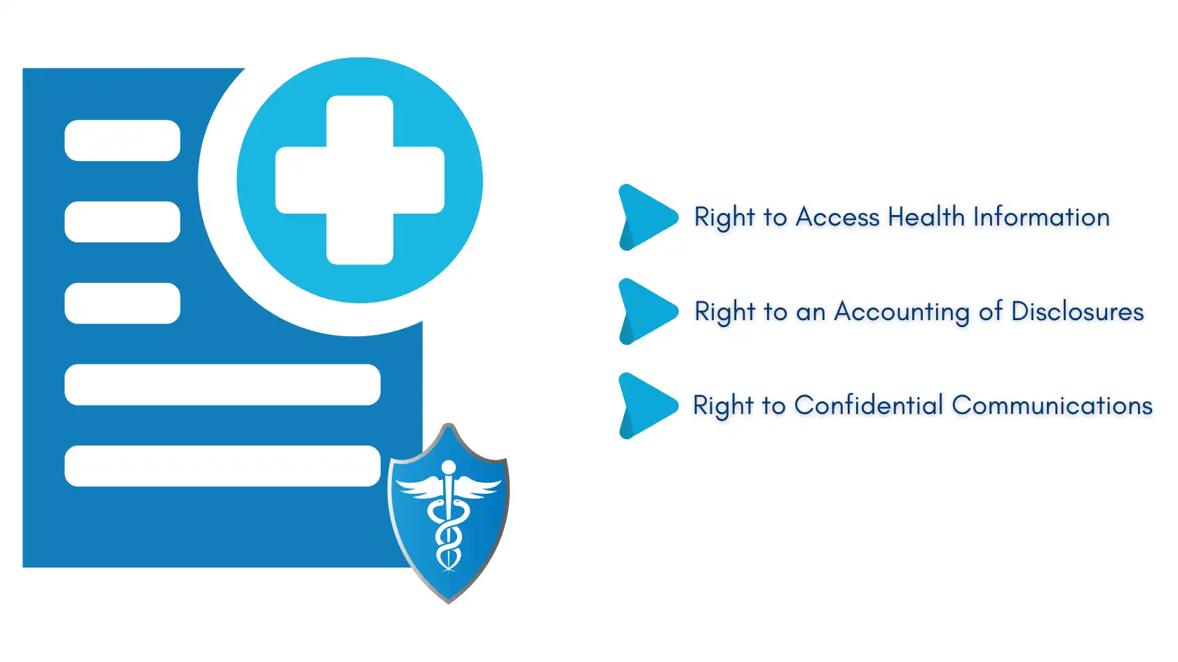 Graphic listing patient rights under the HIPAA Privacy Rule, including access to health information, disclosures, and confidential communications.